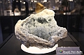 VBS_1060 - Riapre il Museo di Scienze Naturali dopo dieci anni di chiusura